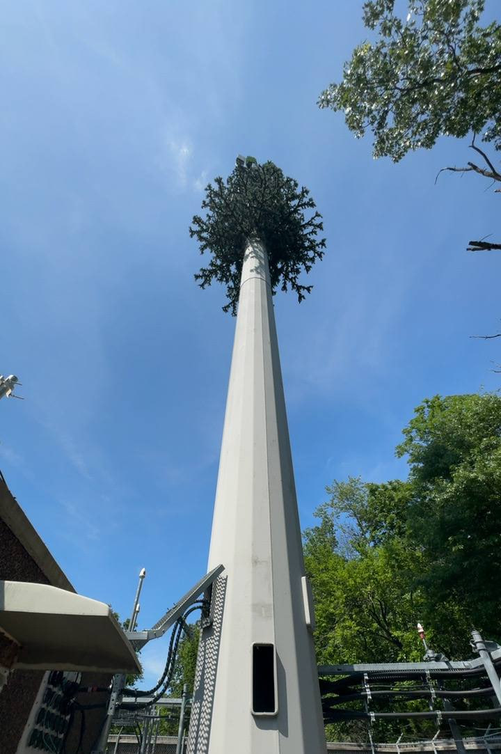 Stealth Monopine Tower Construction